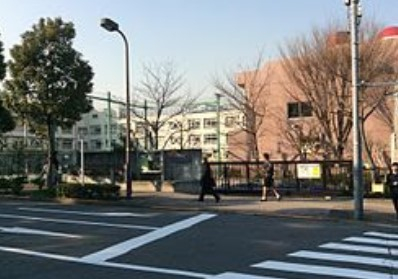 小学校　渋谷区立加計塚小学校（小学校）まで779m