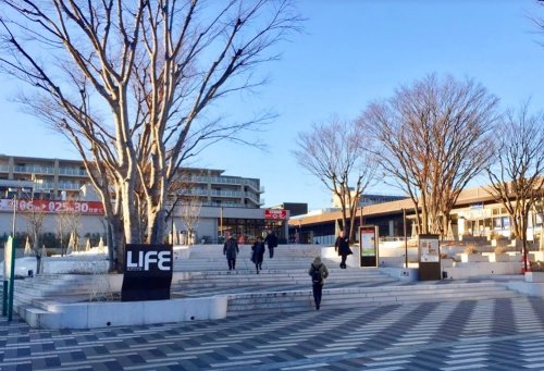 ショッピングセンター　相鉄ライフ 南まきが原（ショッピングセンター）まで719m