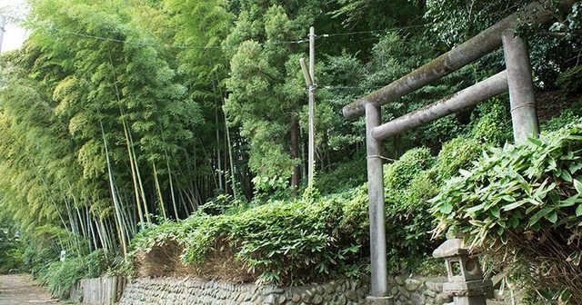 その他　日野緑地（その他）まで446m