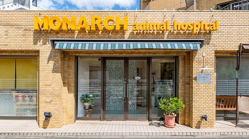 病院　目黒モナーク動物病院（病院）まで247m