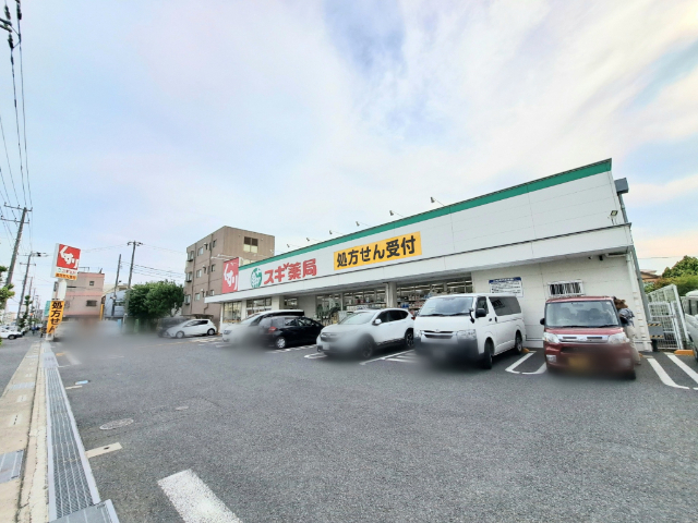 ドラックストア　スギ薬局平塚店（ドラッグストア）まで258m