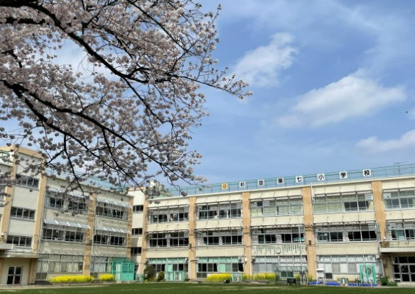 小学校　杉並区立杉並第七小学校（小学校）まで707m