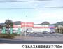 ドラックストア　ウエルネス大田中央店（ドラッグストア）まで750m