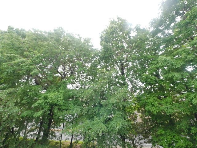 眺望　★お部屋探しは株式会社タウンハウジング東京まで★