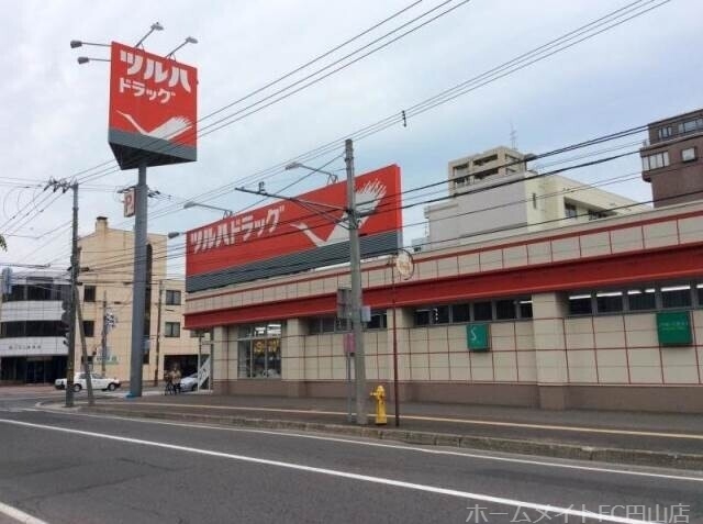 ドラックストア　ツルハドラッグ南14条店（ドラッグストア）まで591m