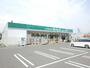 ドラックストア　ドラッグセイムス平塚真土店（ドラッグストア）まで289m