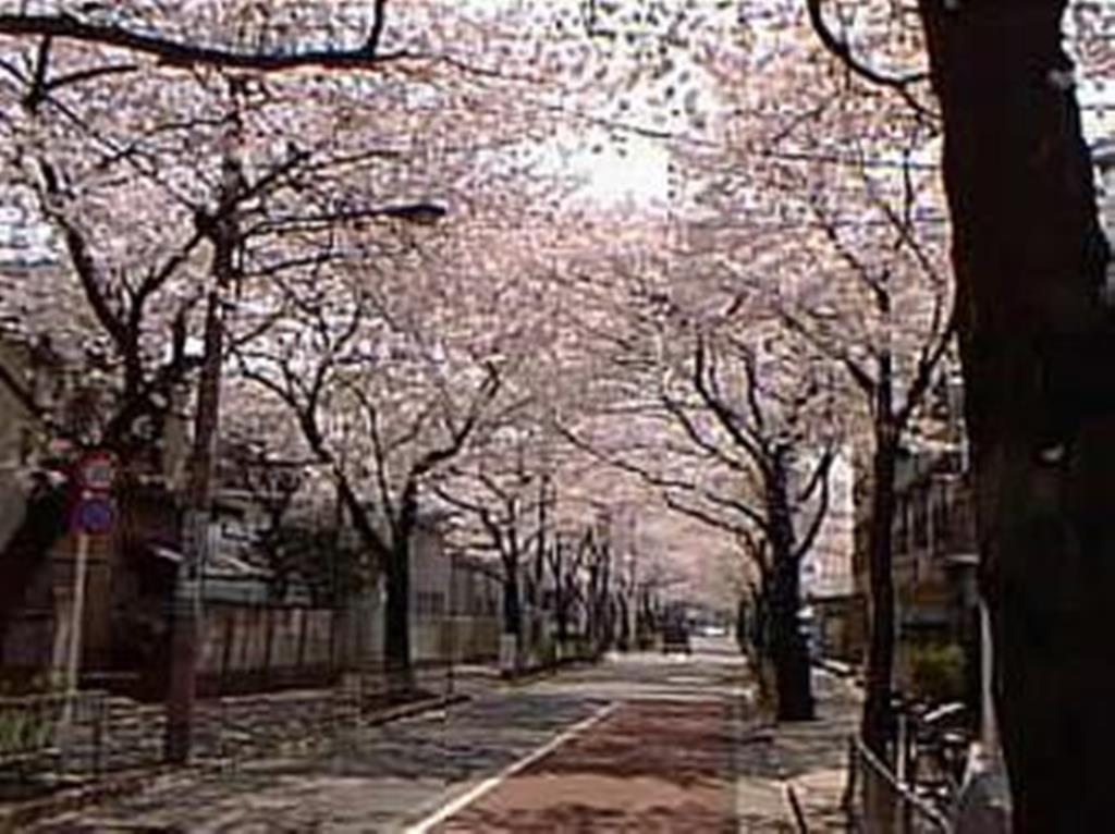 公園　目黒区立田向公園（公園）まで317m