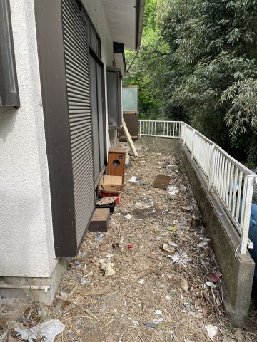 庭