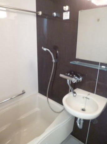 バス・シャワールーム　スカイコート新小岩 他の部屋写真参照
