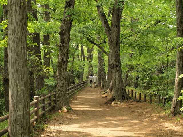 公園　玉川上水緑道（公園）まで562m