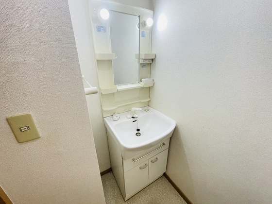 洗面設備　※別部屋の写真です