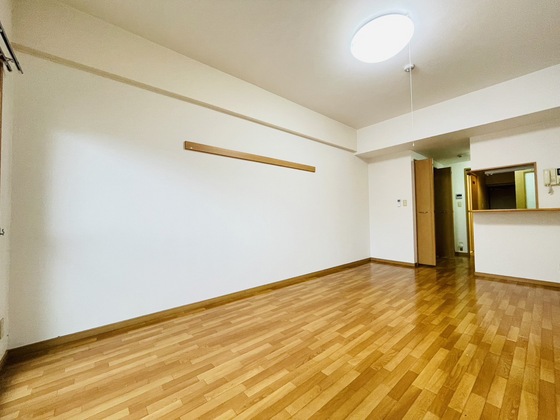 居室・リビング　※別部屋の写真です