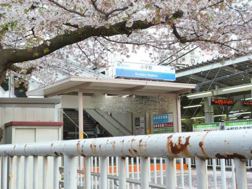 その他　小平駅北口（その他）まで140m