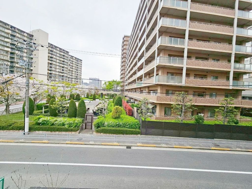 眺望　駐車場