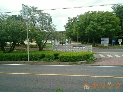 公園　小幡緑地公園（公園）まで190m