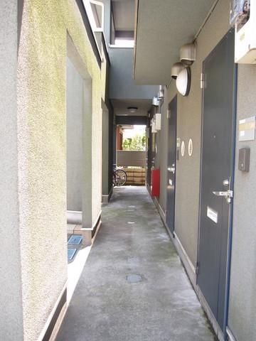 その他　★綺麗ですね♪★