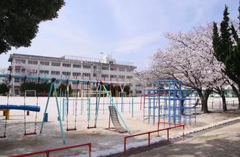 小学校　松戸市立八ケ崎第二小学校（小学校）まで732m