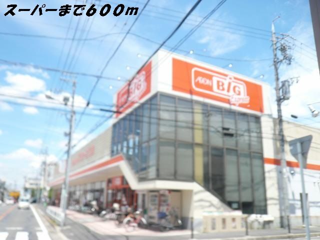 スーパー　ビッグ（スーパー）まで600m