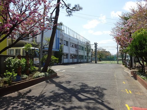 小学校　目黒区立油面小学校（小学校）まで1287m