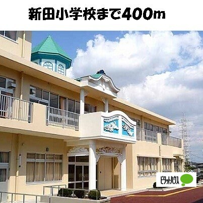 小学校　知多市立新田小学校（小学校）まで237m