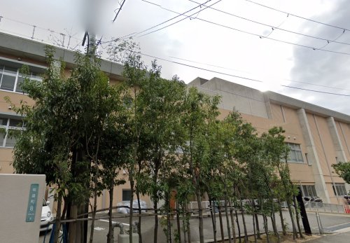 小学校　芦屋市立精道小学校（小学校）まで582m