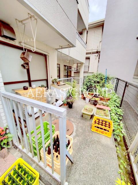 庭