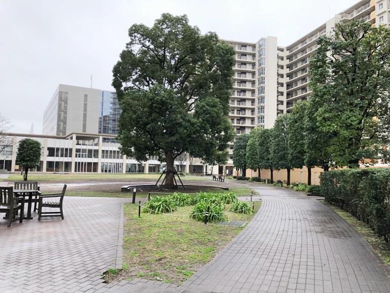 庭