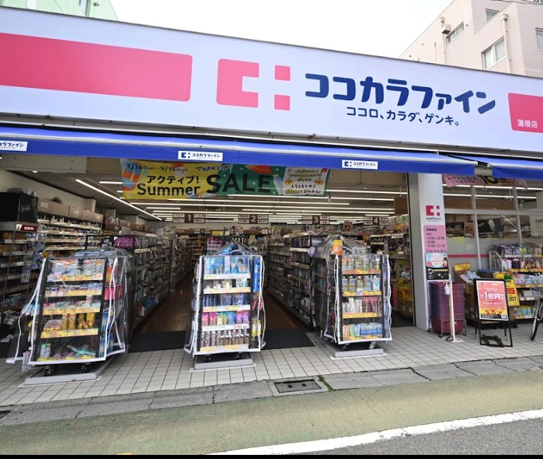 ドラックストア　くすりセイジョー蓮根店（ドラッグストア）まで371m