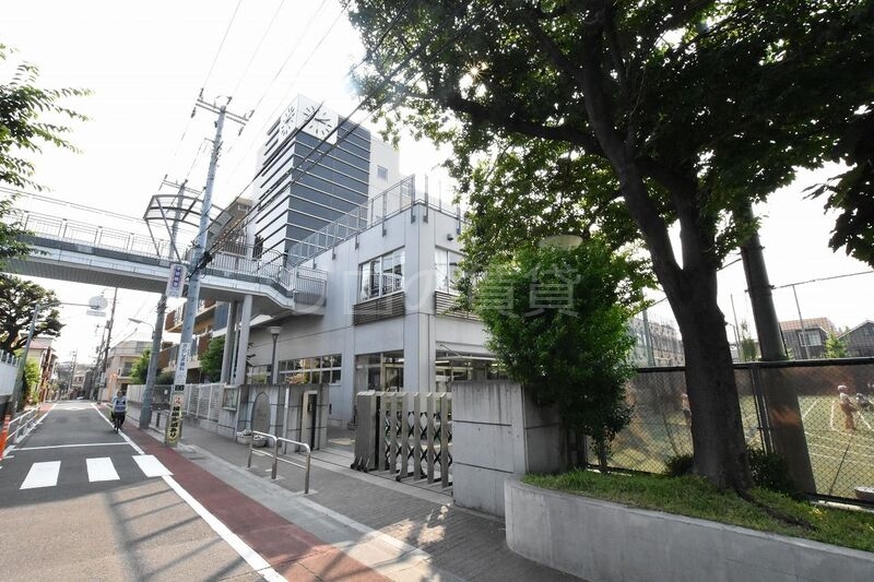 小学校　小山小学校（小学校）まで708m