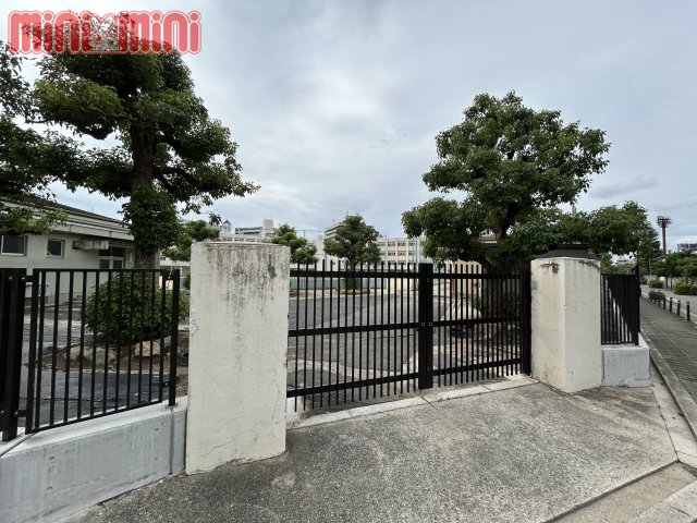 中学校　大阪市立新北野中学校（中学校）まで1123m
