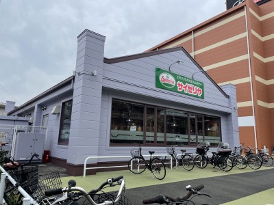 飲食店　サイゼリヤ綱島樽町店（飲食店）まで500m