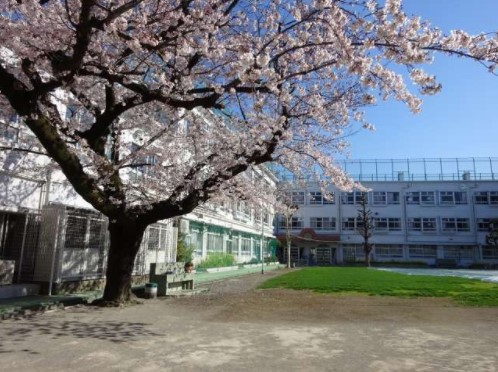 小学校　目黒区立烏森小学校（小学校）まで265m