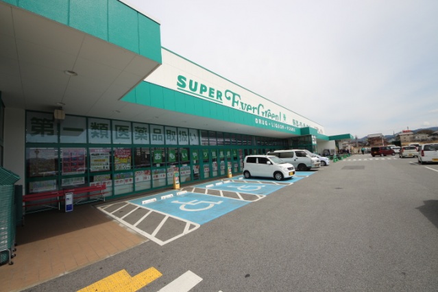 ドラックストア　スーパーエバグリーンプラス橿原膳夫店（ドラッグストア）まで824m