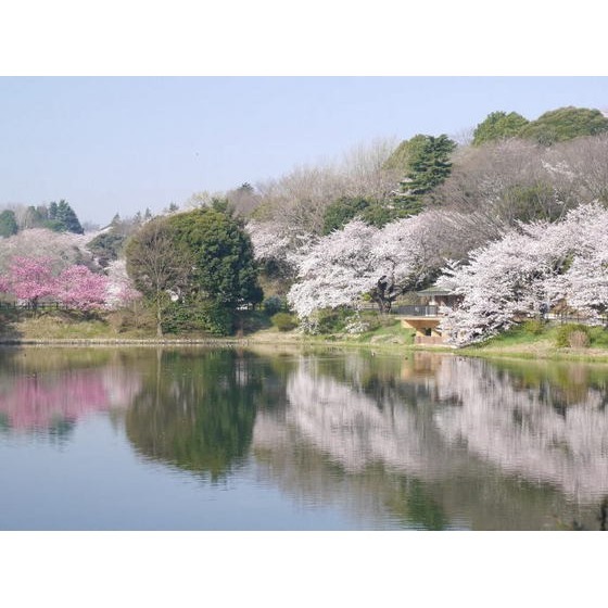 公園　三ツ池都市緑地２号（公園）まで1021m