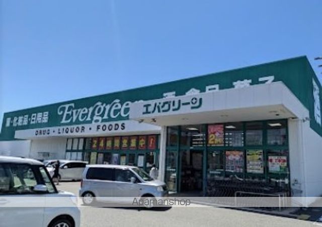 ドラックストア　エバグリーン紀三井寺店様（ドラッグストア）まで800m