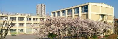 小学校　葛飾区立金町小学校（小学校）まで904m
