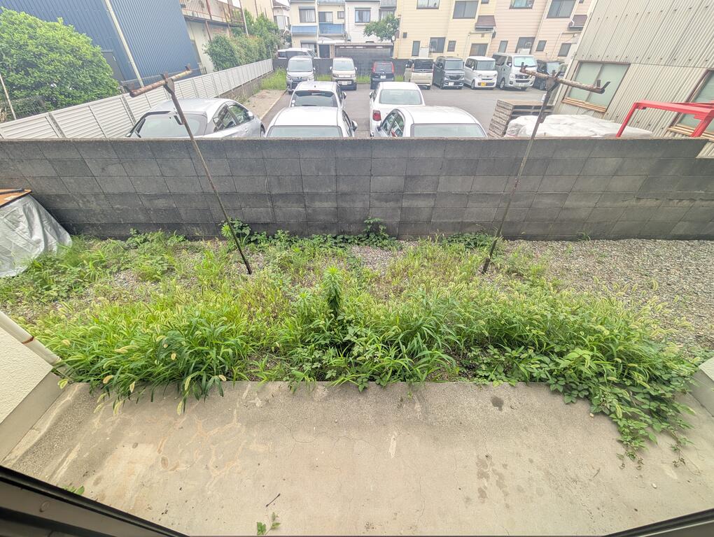 庭