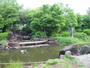 公園　小山白山公園（公園）まで426m
