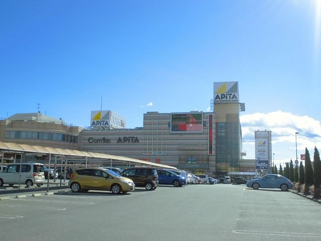 ショッピングセンター　アピタ（ショッピングセンター）まで1800m