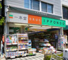 ドラックストア　株式会社一本堂 千駄木店（ドラッグストア）まで526m