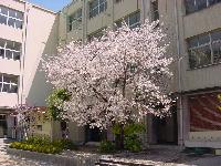 中学校　蒲生中学校（中学校）まで317m