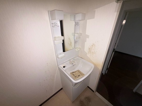 洗面設備　※別部屋の写真です