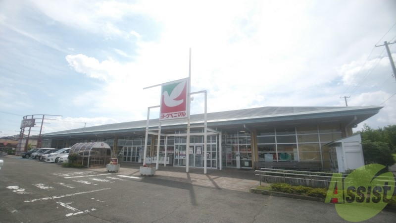 スーパー　ヨークベニマル南光台店（スーパー）まで1555m