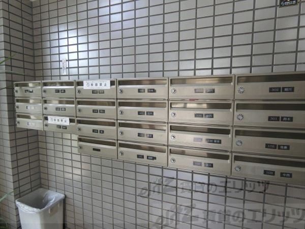 コーポラスムツミの外観写真