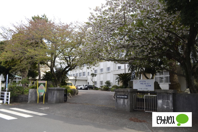 小学校　沼津市立門池小学校（小学校）まで639m