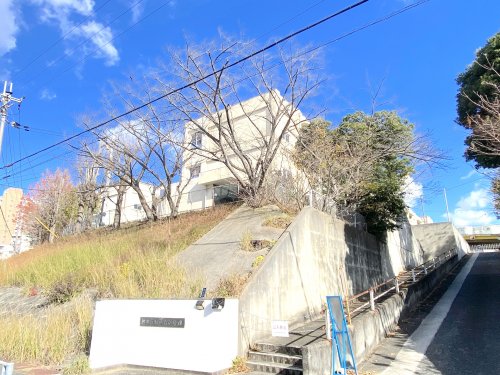 小学校　堺市立桃山台小学校（小学校）まで308m