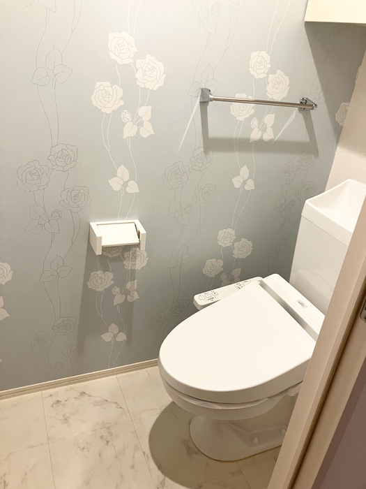 フェリス ディア A棟のトイレ写真