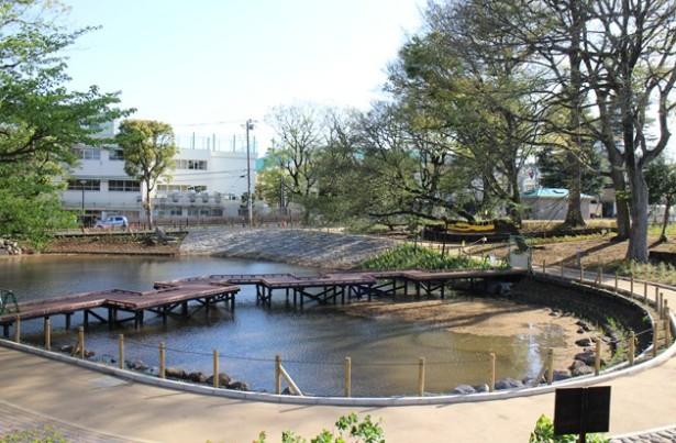 公園　文庫の森（公園）まで503m