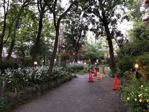 公園　江原屋敷森緑地（公園）まで273m