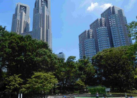 公園　「新宿中央公園」広大で緑豊か！神社やカフェなども！（公園）まで310m